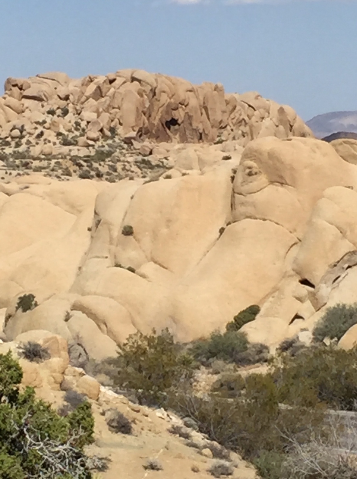The desert was playing tricks on me. I kept seeing faces in the rocks!